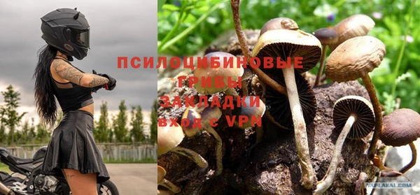 spice Волоколамск